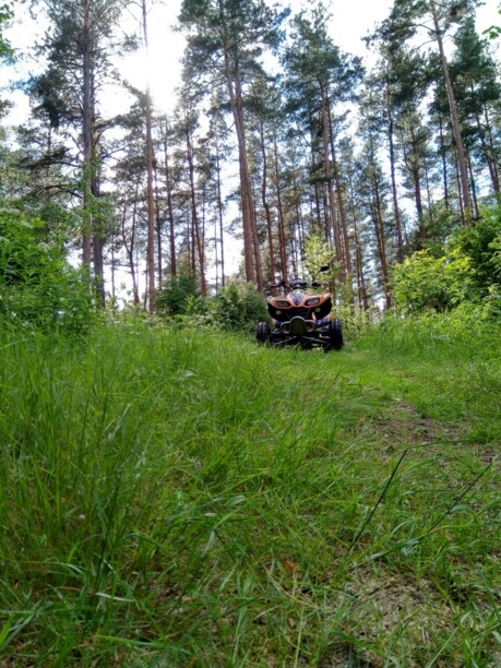 Kawasaki KFX KSV700A, 2004 г.