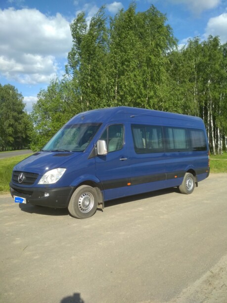 Mercedes-Benz Sprinter 315, 2008 г.