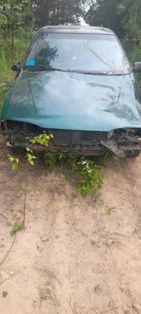 Renault 19 II, 1994 г.