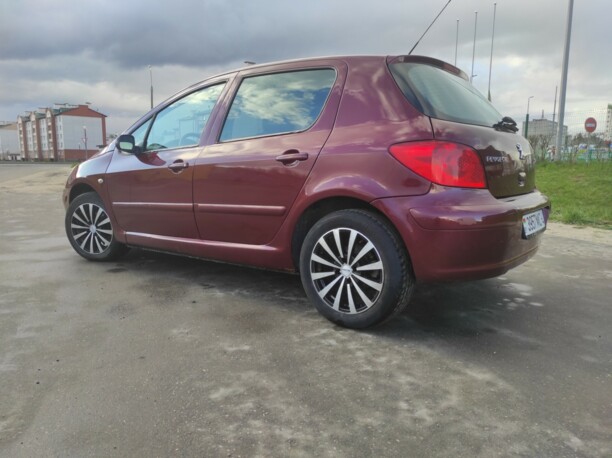 Peugeot 307 I · Рестайлинг, 2006 г.