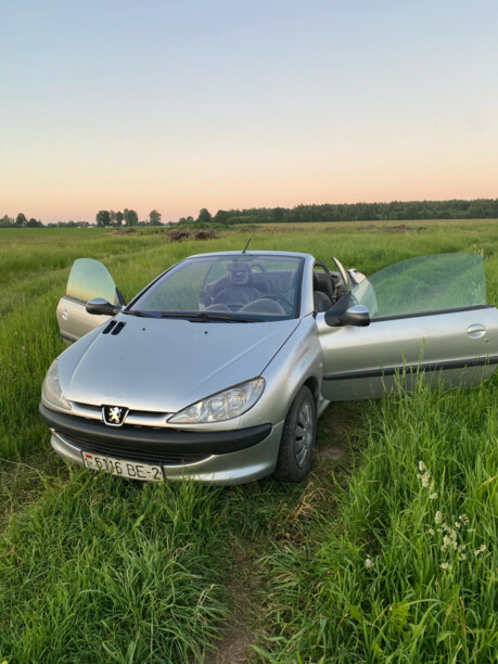 Peugeot 206 I, 2001 г.