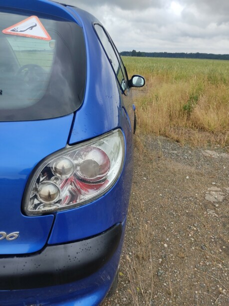 Peugeot 206 I, 2000 г.
