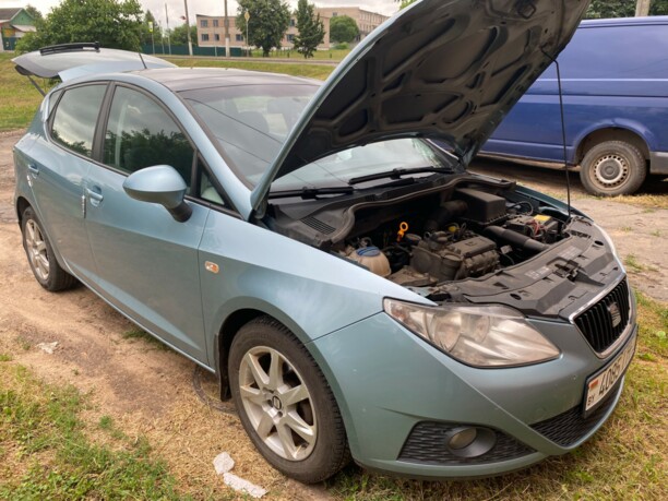 SEAT Ibiza IV, 2008 г.