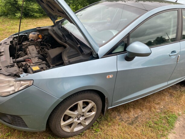 SEAT Ibiza IV, 2008 г.