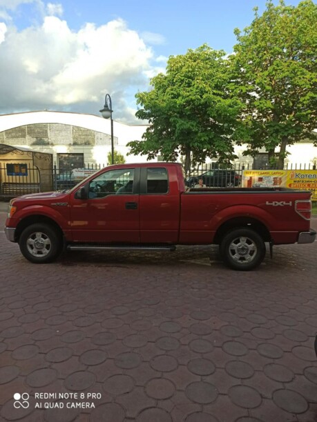 Ford F-150 XII, 2009 г.