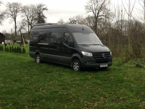Mercedes-Benz Sprinter 319, 2019 г.