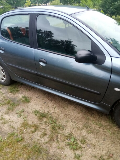 Peugeot 206 I, 2007 г.