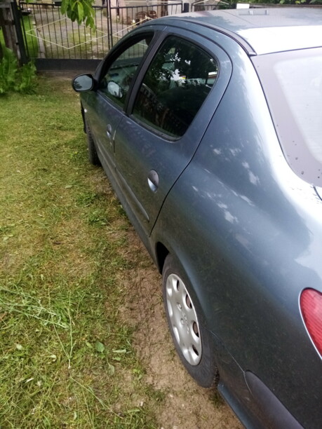 Peugeot 206 I, 2007 г.