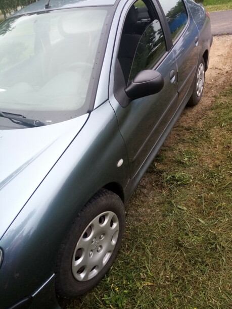 Peugeot 206 I, 2007 г.