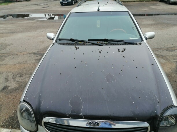 Ford Scorpio II, 1996 г.