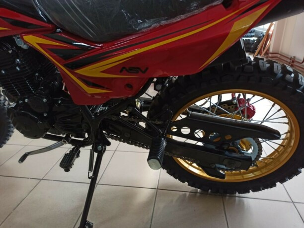 Ekonika Roliz Sport 005 New, 2021 г.