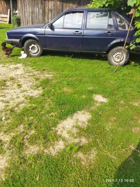 Volkswagen Santana, 1984 г.
