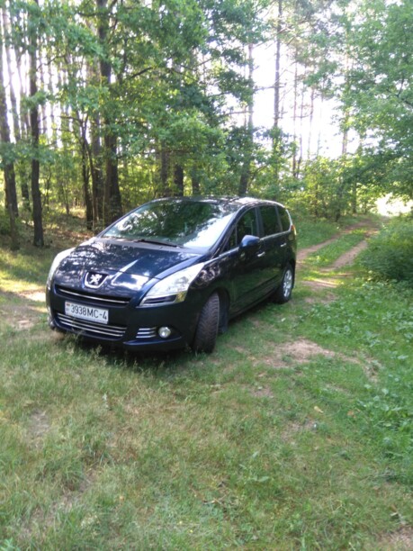 Peugeot 5008 I, 2010 г.