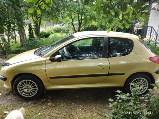 Peugeot 206 I, 2003 г.