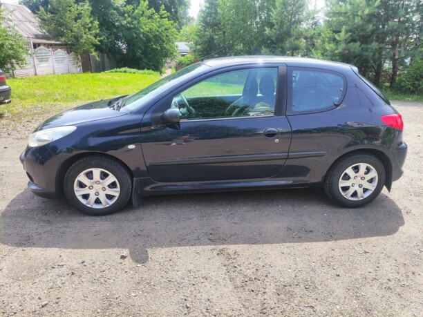Peugeot 206 Plus, 2010 г.