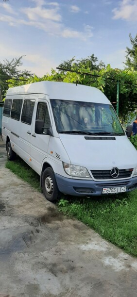 Mercedes-Benz Sprinter Макси 313CDI , 2001 г.