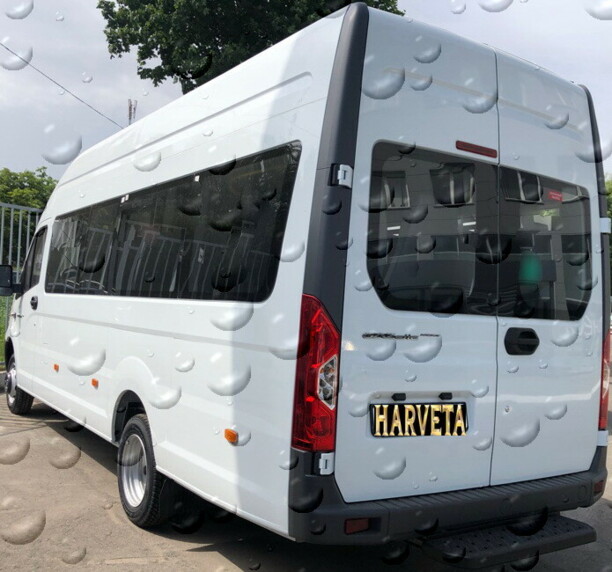 ГАЗ Next С45К02 ALIZANA, 2021 г.