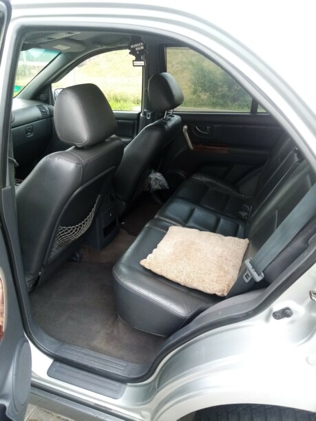 Kia Sorento I, 2002 г.