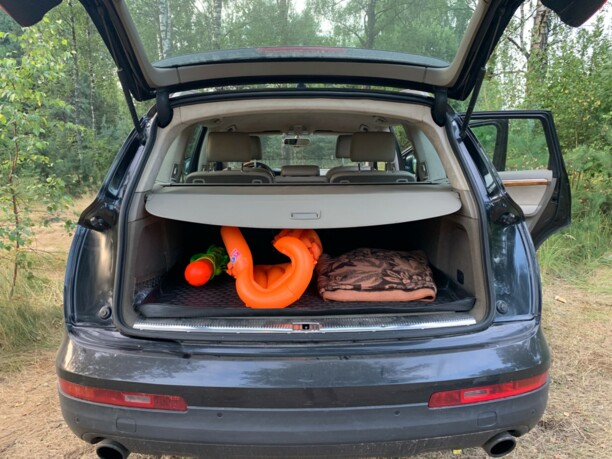 Audi Q7 4L, 2008 г.