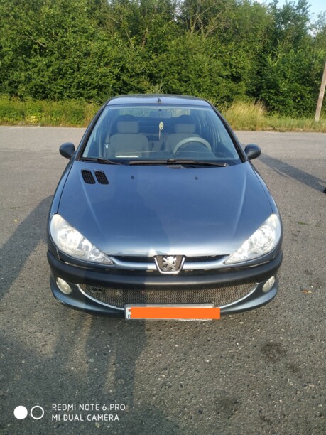 Peugeot 206 I, 2007 г.