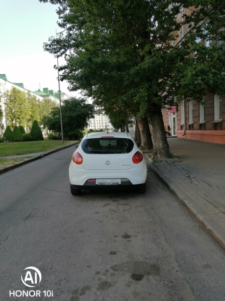 Fiat Bravo II, 2009 г.