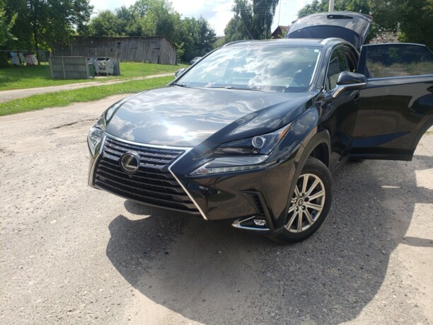 Lexus NX, 2019 г.