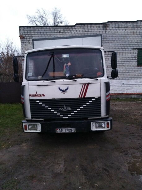 МАЗ 4370, 2009 г.