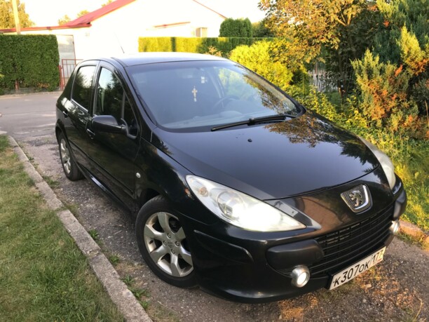 Peugeot 307 I · Рестайлинг, 2006 г.