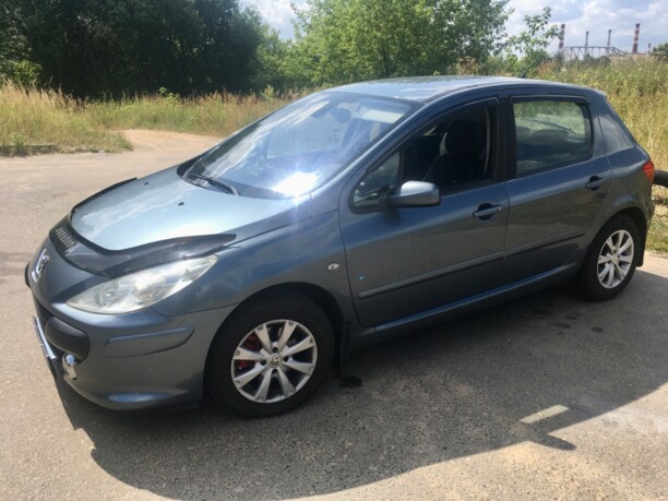 Peugeot 307 I · Рестайлинг, 2007 г.