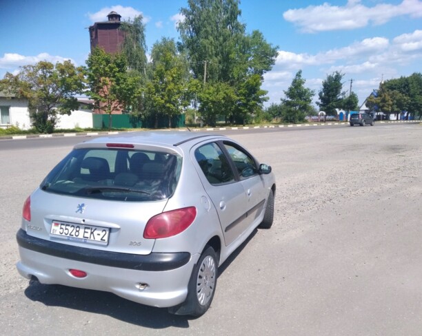 Peugeot 206 I, 2004 г.