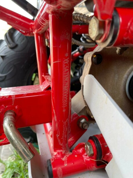 Stels ATV Gepard Trofi Pro 850G, 2021 г.