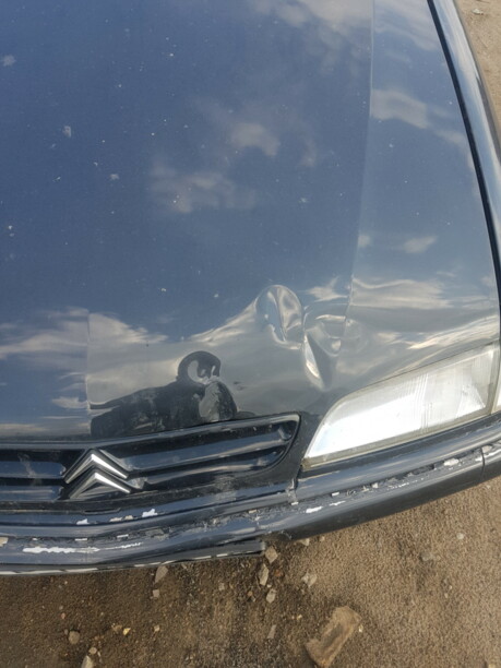 Citroen Xantia X2, 1998 г.