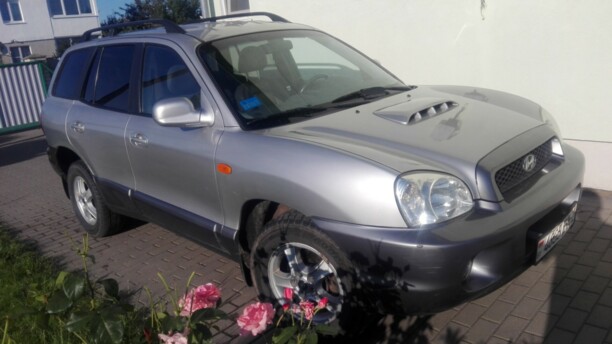 Hyundai Santa Fe SM, 2002 г.