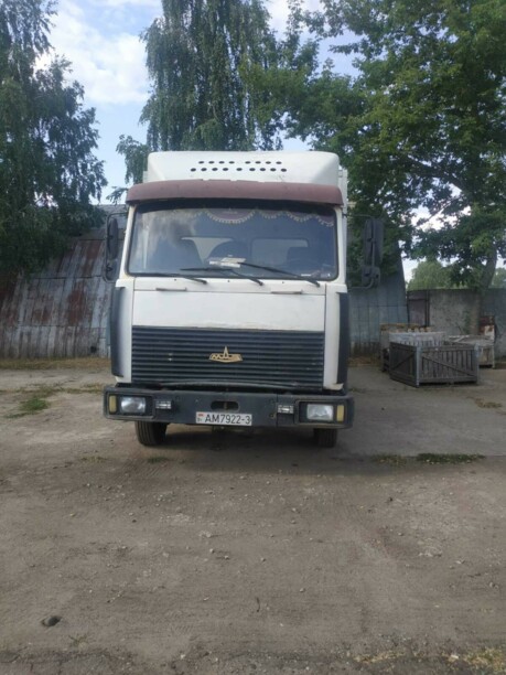 МАЗ 4370, 2010 г.
