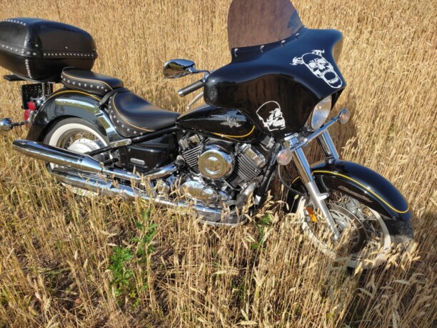 Yamaha XVS, 2004 г.