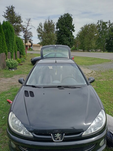 Peugeot 206 I, 2004 г.
