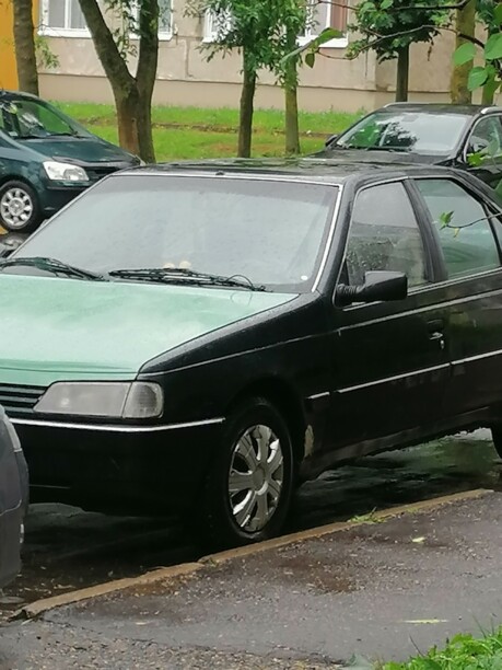 Peugeot 405, 1995 г.