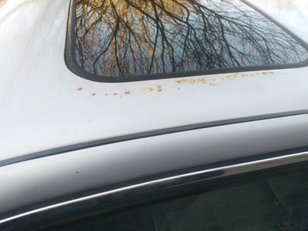 Ford Scorpio I, 1990 г.