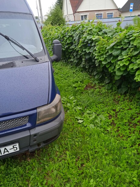 Ford Transit Бус, 2003 г.