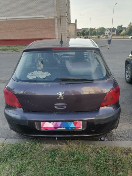 Peugeot 307 I, 2004 г.