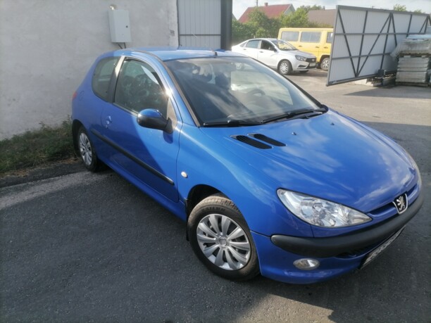 Peugeot 206 I, 2004 г.