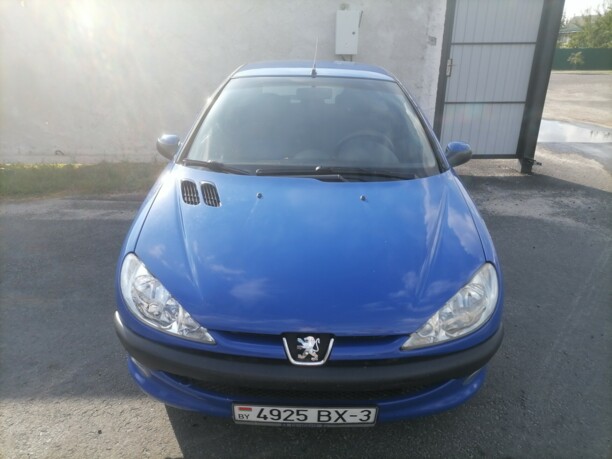 Peugeot 206 I, 2004 г.