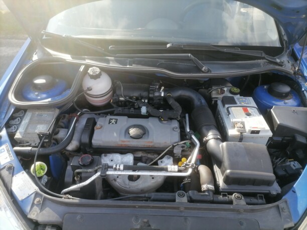 Peugeot 206 I, 2004 г.