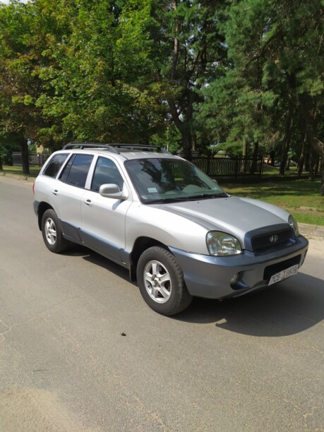 Hyundai Santa Fe SM, 2003 г.