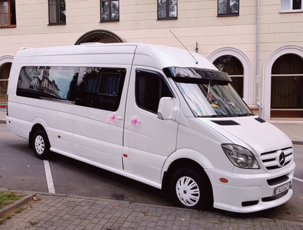 Mercedes-Benz Sprinter 515, 2008 г.