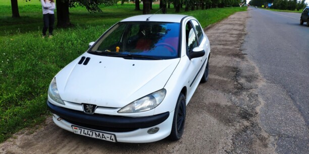 Peugeot 206 I, 2003 г.