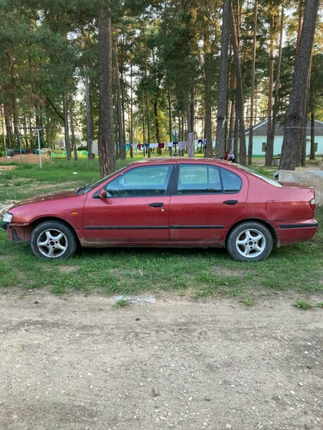 Nissan Primera P11, 1997 г.