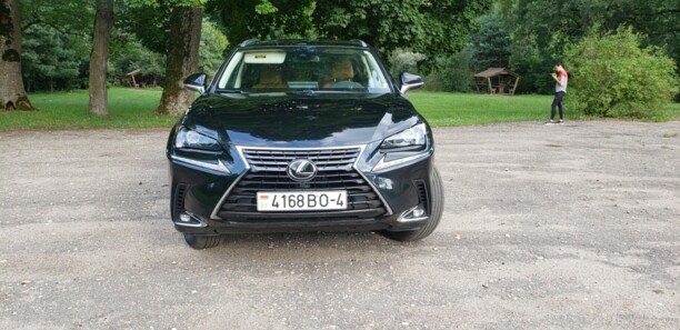 Lexus NX I, 2019 г.