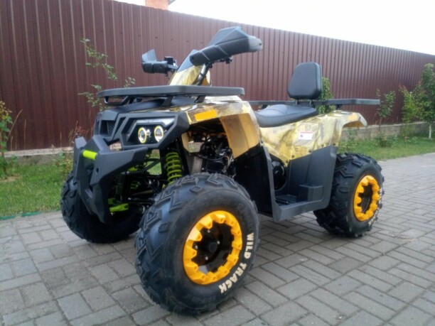 Motoland Wild Trak LUX 200 Камуфляж, 2021 г.