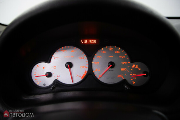 Peugeot 206 I, 2004 г.